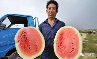 全网最强吃瓜视频,揭秘“最强吃瓜视频”背后的惊人真相！